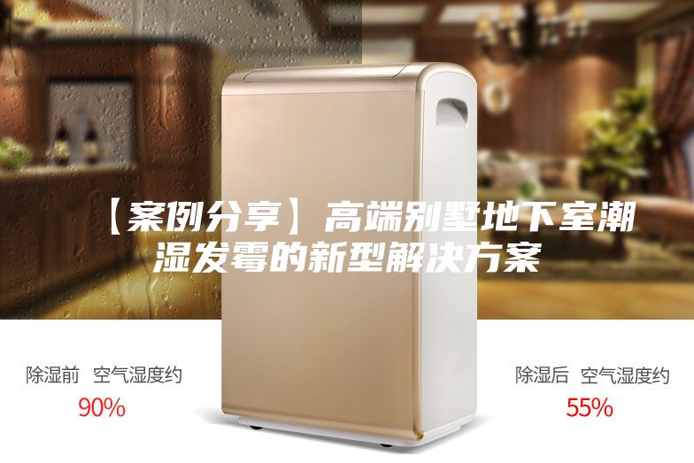 【案例分享】高端別墅地下室潮濕發(fā)霉的新型解決方案